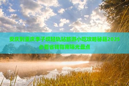 安庆到重庆李子坝轻轨站旅游小吃