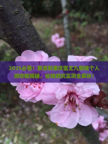 果洛到重庆蚩尤九黎城个人游