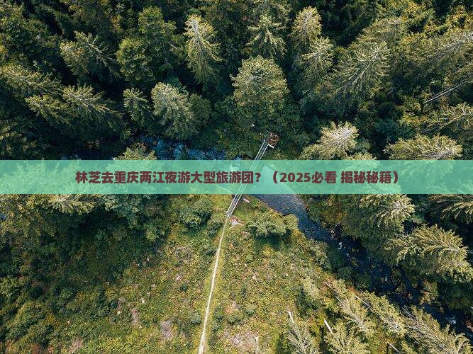 林芝去重庆两江夜游大型旅游团