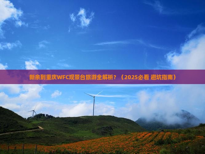 新余到重庆wfc观景台旅游 新余到重庆wfc观景台旅游