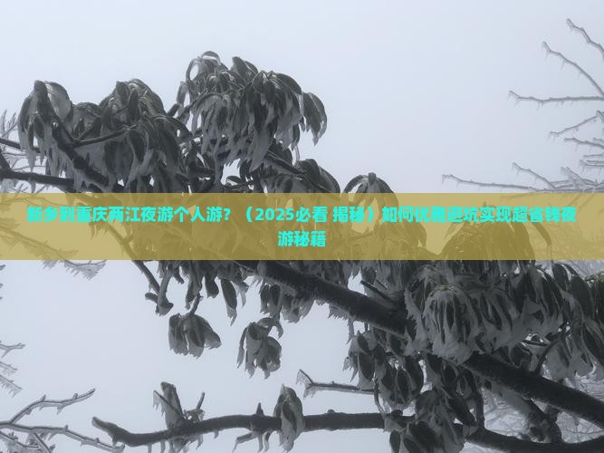新乡到重庆两江夜游个人游 新乡到重庆两江夜游个人游