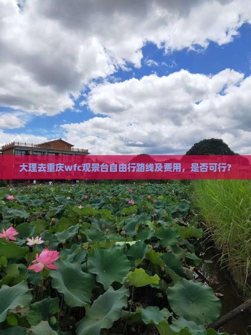 大理去重庆wfc观景台自由行