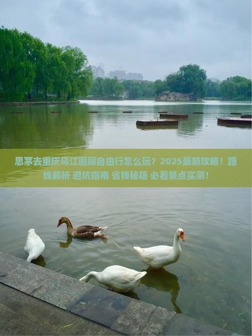 思茅去重庆乌江画廊自由行