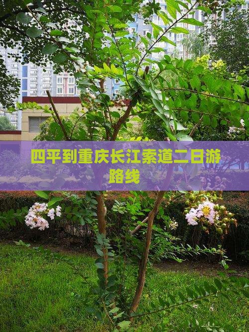 四平到重庆长江索道二日游 四平到重庆长江索道二日游
