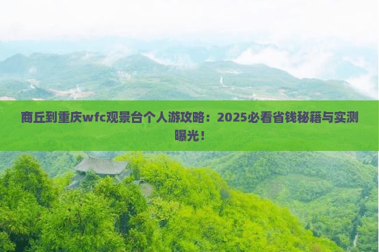 商丘到重庆wfc观景台个人游