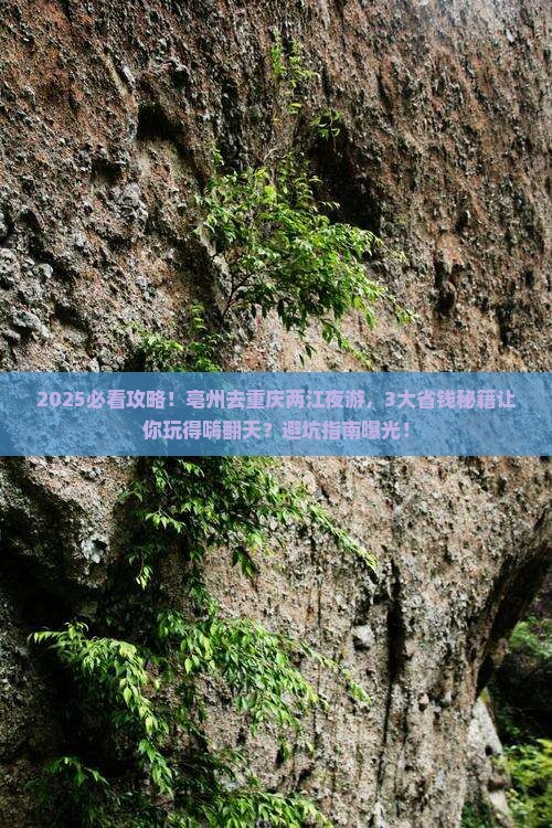 亳州去重庆两江夜游旅行社