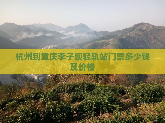 杭州到重庆李子坝轻轨站门票