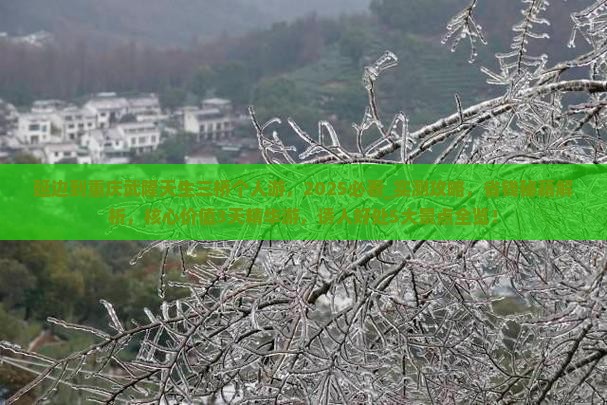 延边到重庆武隆天生三桥个人游