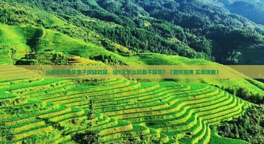德宏去重庆李子坝轻轨站哪里玩