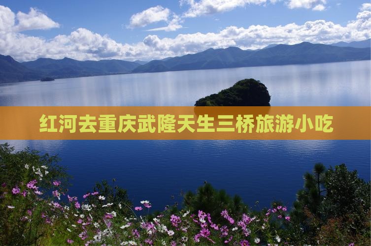 红河去重庆武隆天生三桥旅游小吃