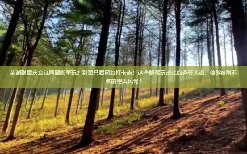 芜湖到重庆乌江画廊哪里玩