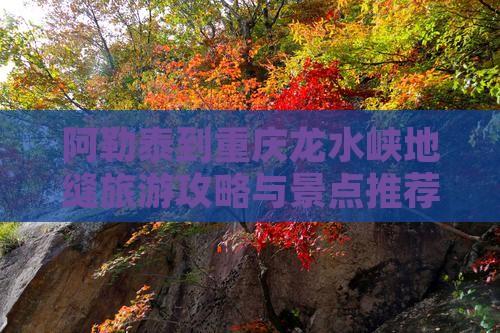 阿勒泰到重庆龙水峡地缝哪里玩