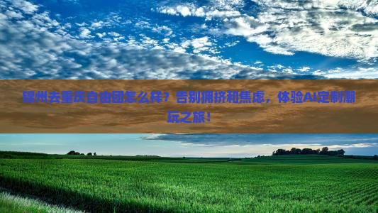 锦州去重庆自由团