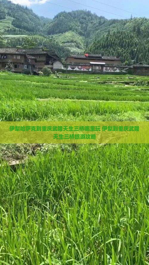 伊犁哈萨克到重庆武隆天生三桥哪里玩