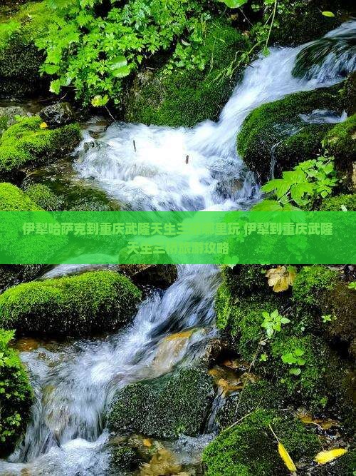伊犁哈萨克到重庆武隆天生三桥哪里玩