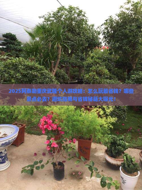 阿泰勒到重庆武隆个人游