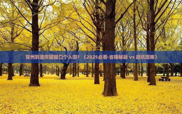 常州到重庆磁器口个人游