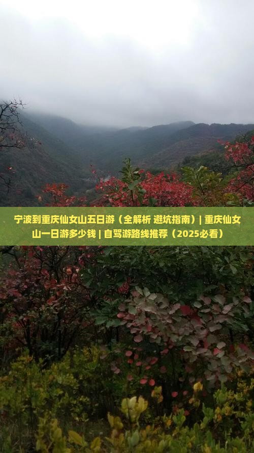 宁波到重庆仙女山五日游