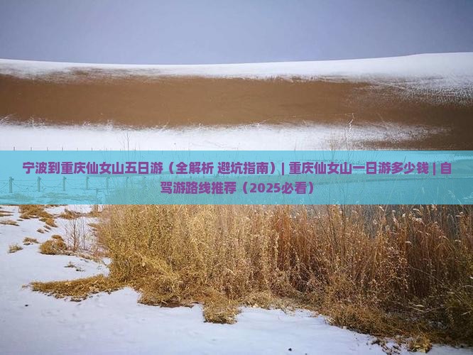 宁波到重庆仙女山五日游