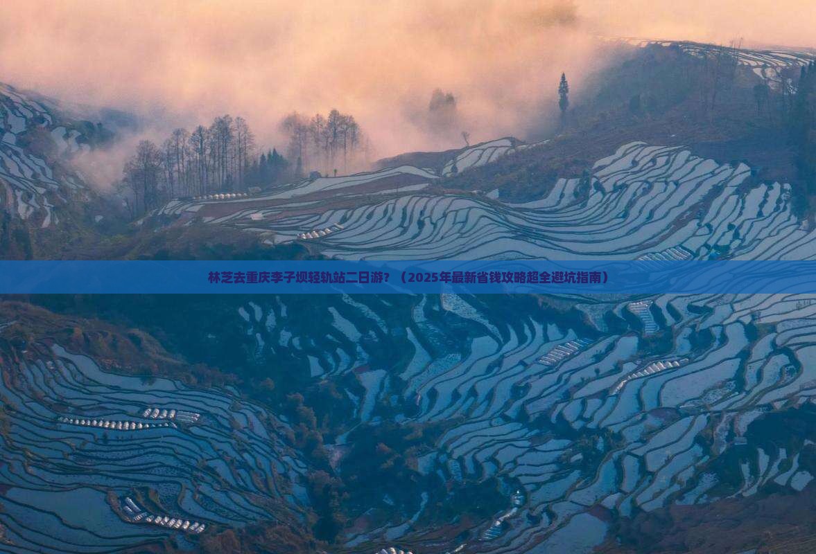 林芝去重庆李子坝轻轨站二日游 林芝去重庆李子坝轻轨站二日游