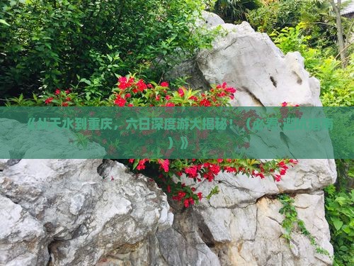 天水到重庆六日游