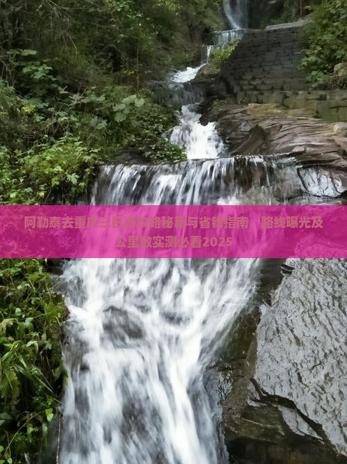 阿勒泰去重庆三日游