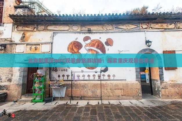 北京到重庆wfc观景台攻略