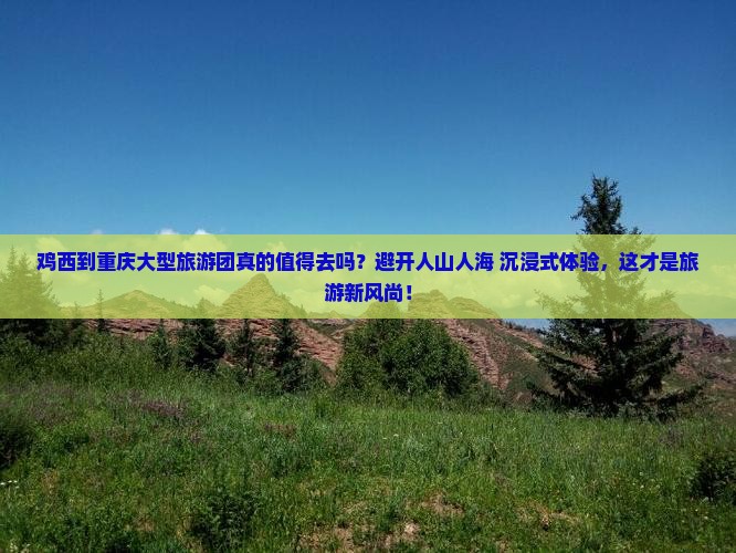 鸡西到重庆大型旅游团