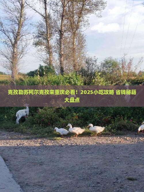 克孜勒苏柯尔克孜到重庆旅游小吃