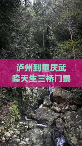 泸州到重庆武隆天生三桥门票