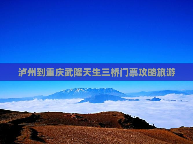 泸州到重庆武隆天生三桥门票