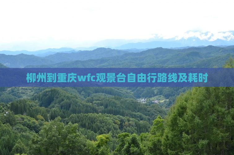 柳州到重庆wfc观景台自由行