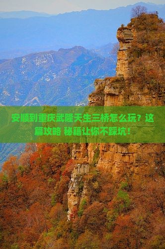 安顺到重庆武隆天生三桥必去地