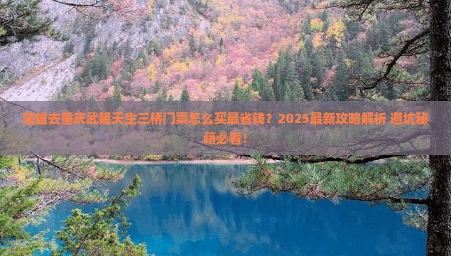 楚雄去重庆武隆天生三桥门票