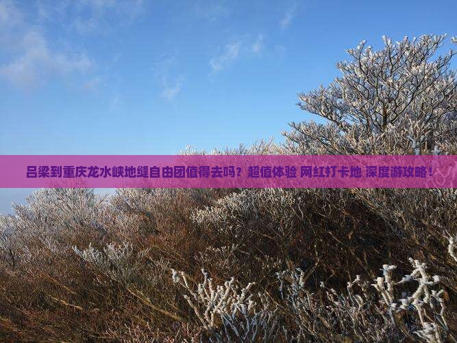 吕梁到重庆龙水峡地缝自由团 吕梁到重庆龙水峡地缝自由团