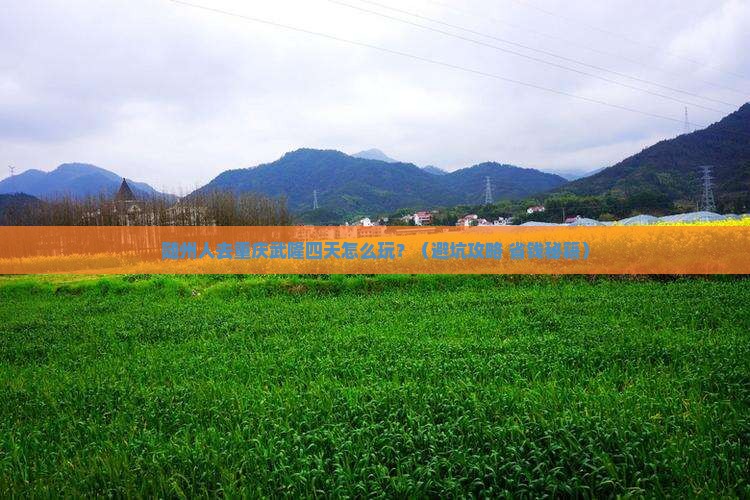 随州去重庆武隆四日游