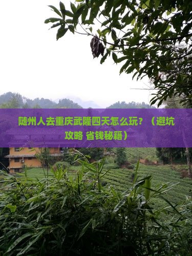 随州去重庆武隆四日游