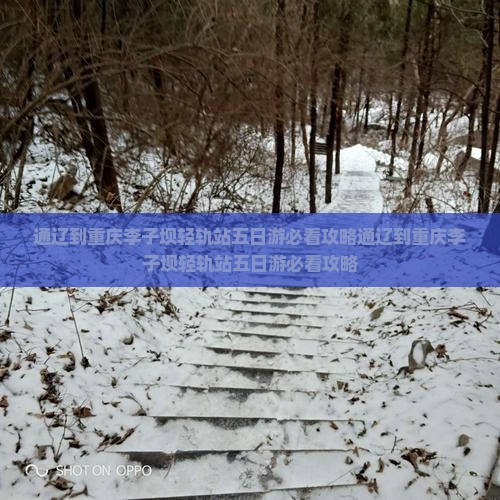 通辽到重庆李子坝轻轨站五日游