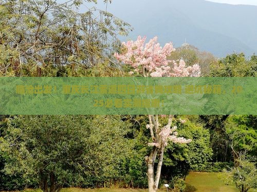 临沧到重庆长江索道四日游