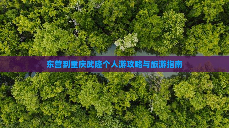 东营去重庆武隆个人游