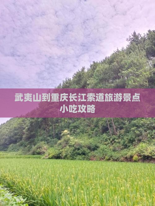 武夷山去重庆长江索道旅游小吃