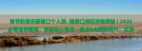 春节到重庆磁器口个人游