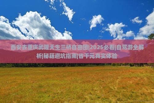 西安去重庆武隆天生三桥自由团