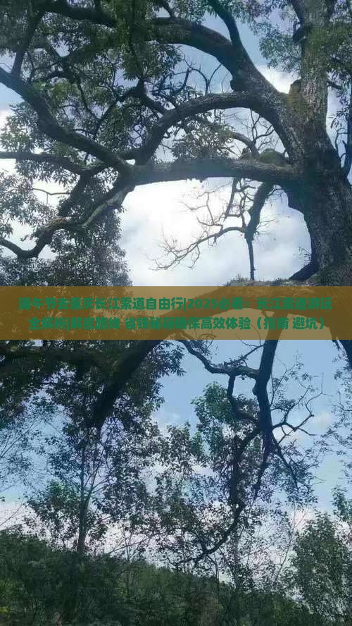 端午节去重庆长江索道自由行
