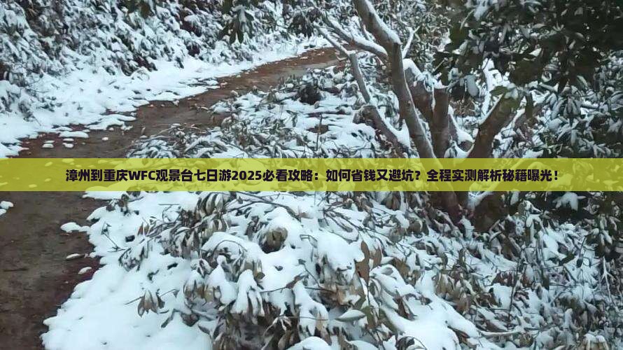 漳州到重庆wfc观景台七日游