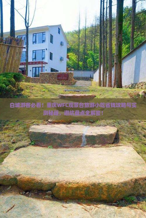 白城去重庆wfc观景台旅游小吃