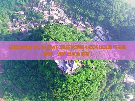 白城去重庆wfc观景台旅游小吃