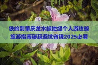 铁岭到重庆龙水峡地缝个人游