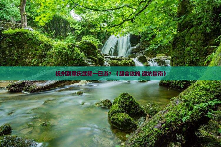 抚州到重庆武隆一日