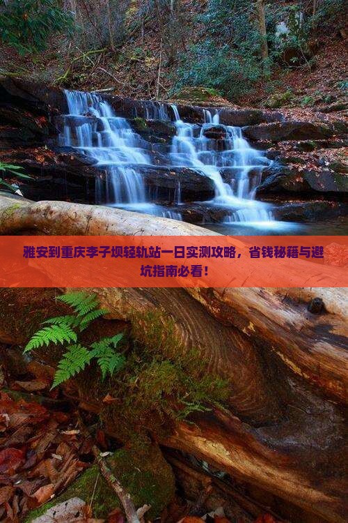 雅安到重庆李子坝轻轨站一日